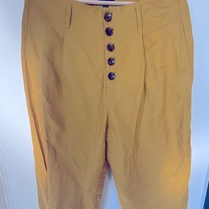 Frank and Oak cropped, wide legged pants